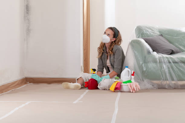 Reliable Mold Cleanup contractor in Odessa, TX by Cheap Mold Removal