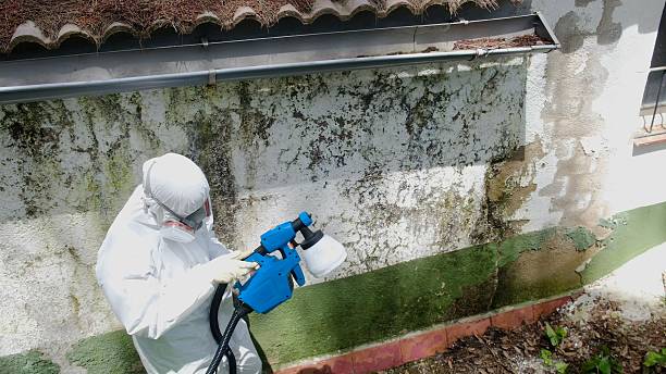 Trusted Mold Testing service in Odessa, TX - Cheap Mold Removal